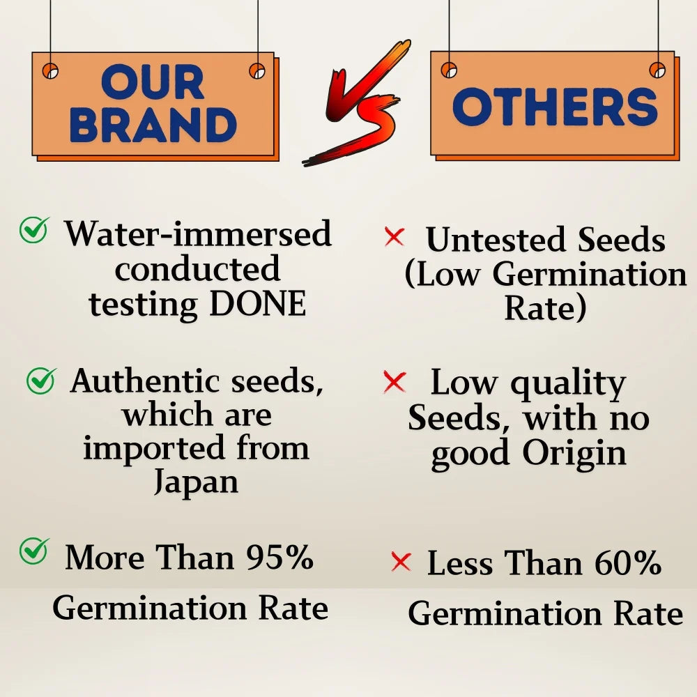 🌸 All-Season Hybrid Japanese Lotus Flower Seeds | 100% IMPORTED | 95% Germination Rate | Dwarf Rainbow Lotus | Kamal Gatta Beej | Exotic Premium Variety 🌸