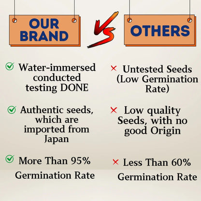🌸 All-Season Hybrid Japanese Lotus Flower Seeds | 100% IMPORTED | 95% Germination Rate | Dwarf Rainbow Lotus | Kamal Gatta Beej | Exotic Premium Variety 🌸